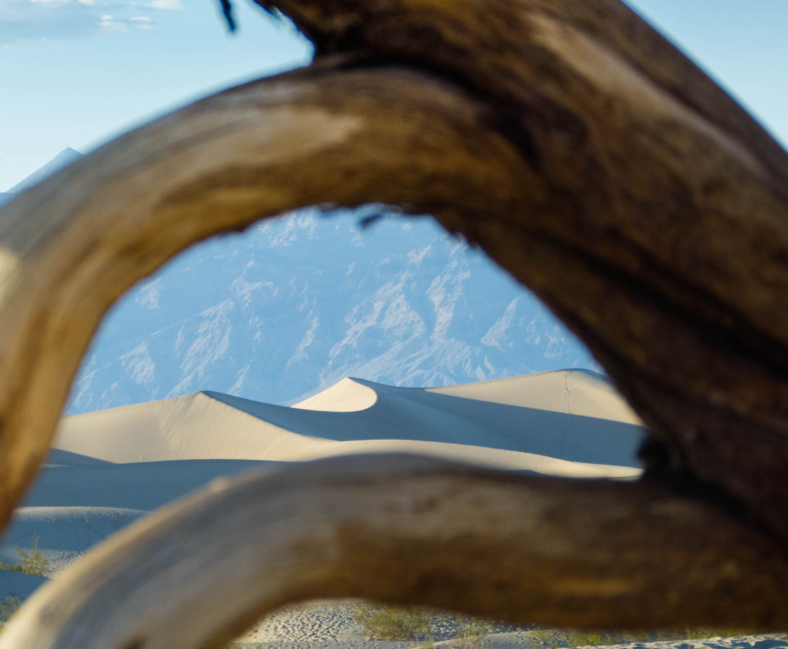 Death Valley NP, Dune